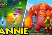 annie toc chien