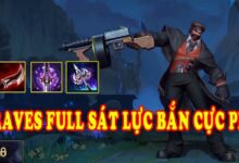 graves toc chien