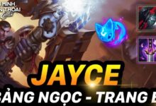 jayce toc chien