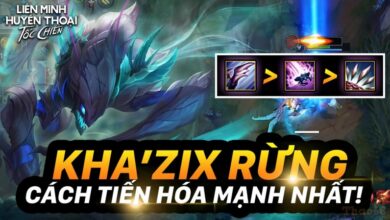 khazix toc chien