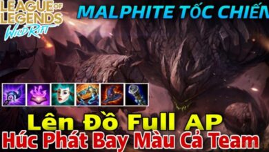 malphite toc chien
