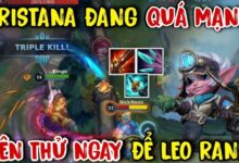 tristana toc chien