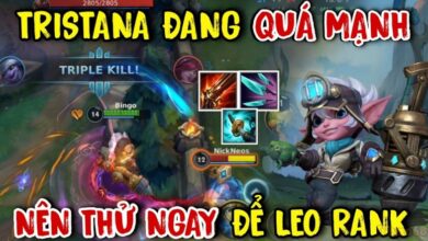tristana toc chien