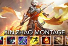 xin zhao